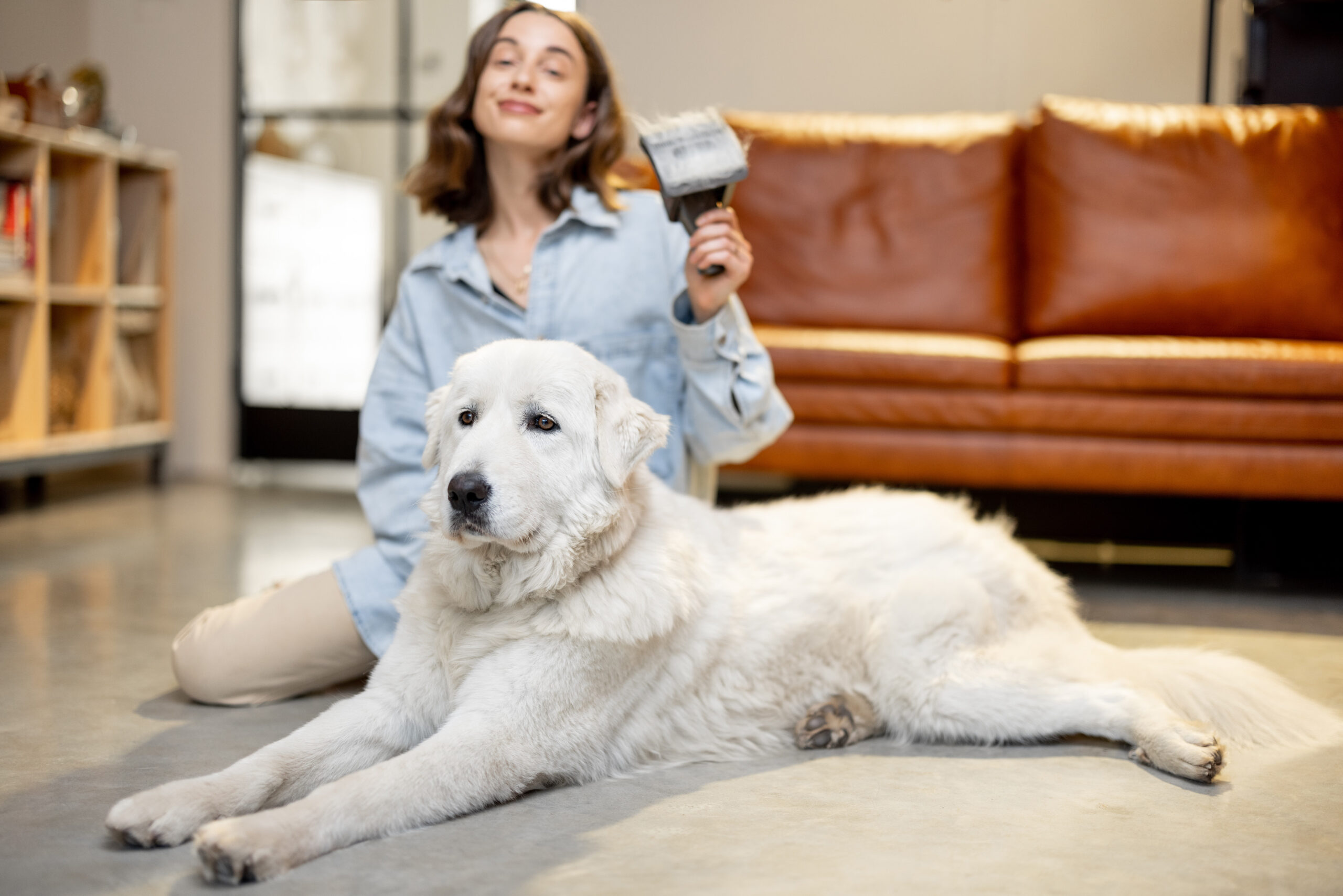 How to Prevent Matting: A Guide for Pet Parents